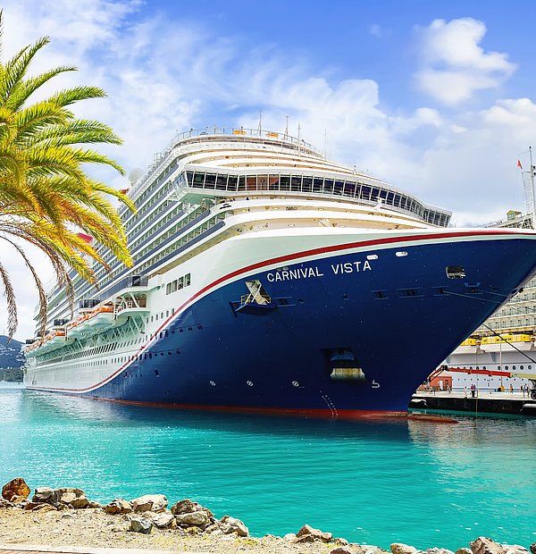 Kreuzfahrtschiff im Hafen, Palme