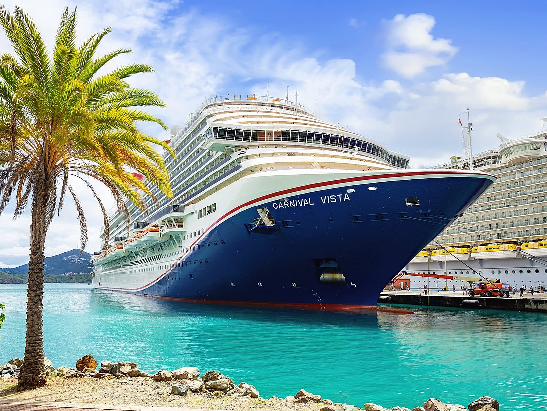 Kreuzfahrtschiff im Hafen, Palme
