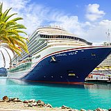 Kreuzfahrtschiff im Hafen, Palme