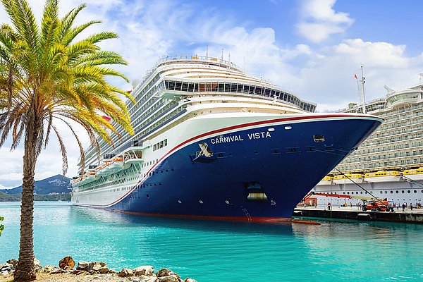 Kreuzfahrtschiff im Hafen, Palme